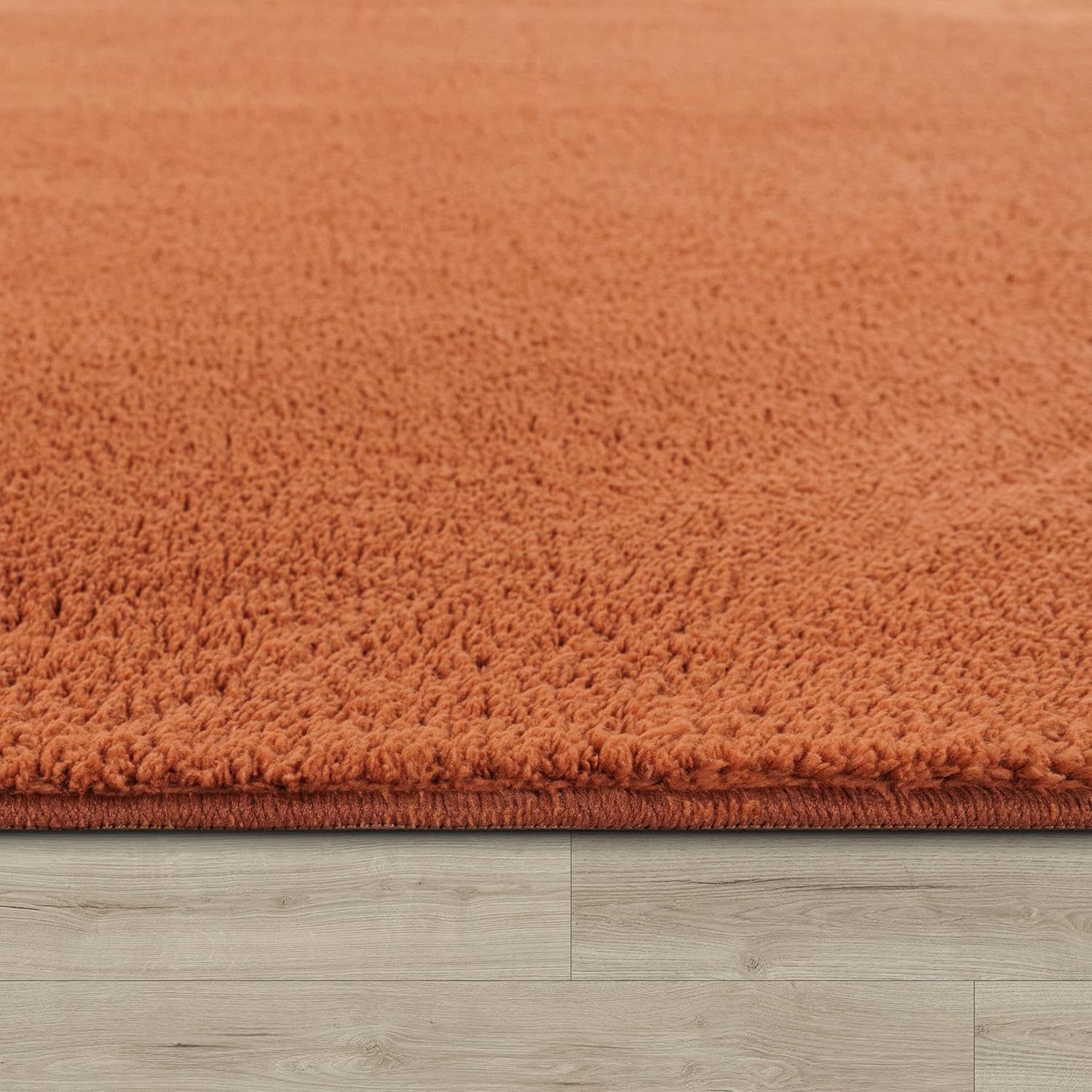 Detalle 2 de Paco Home Tapis 300x400 cm đ