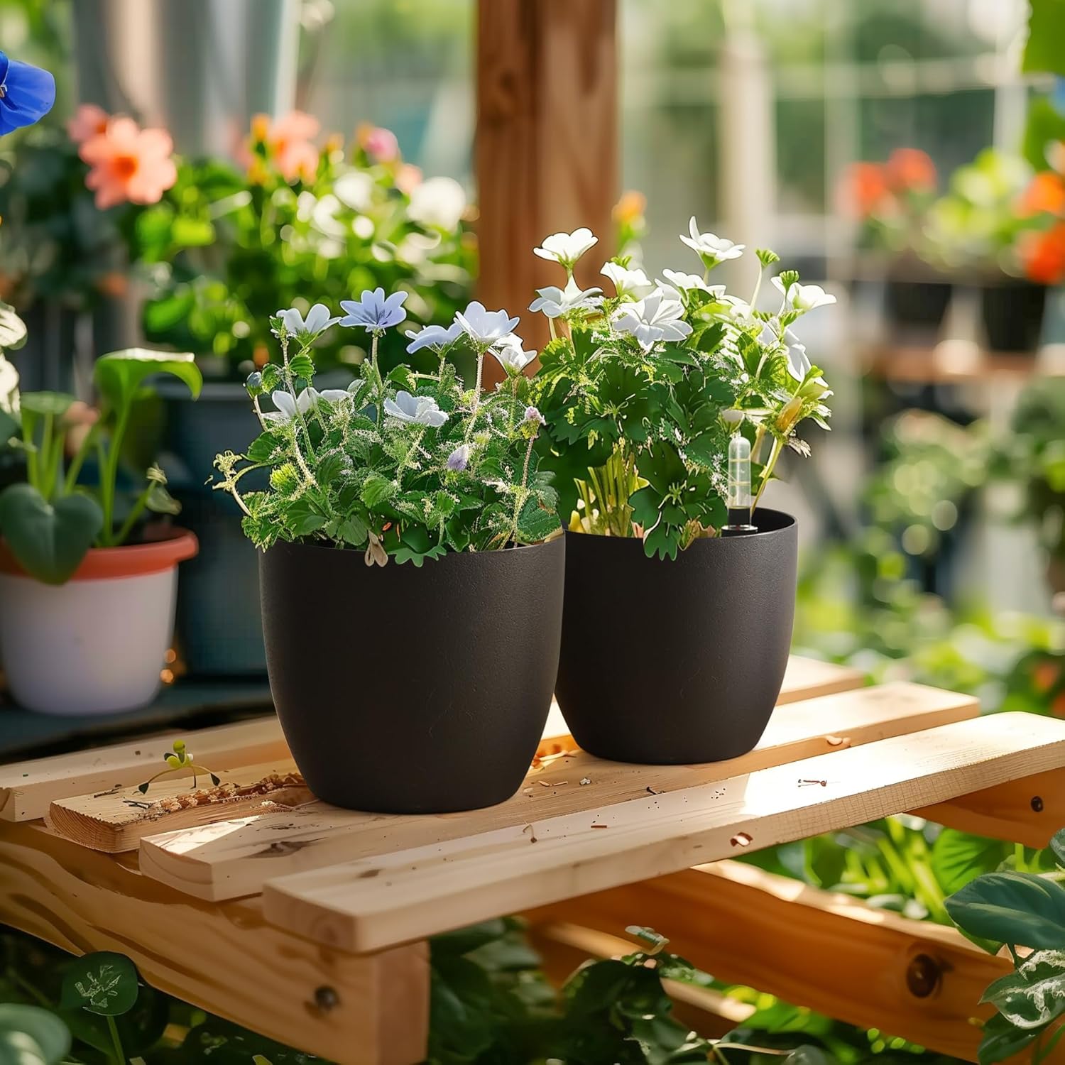 Thumbnail 5 de T4U Selbstwässernder Blumentopf 15 cm im 4er-Set – Schwarz