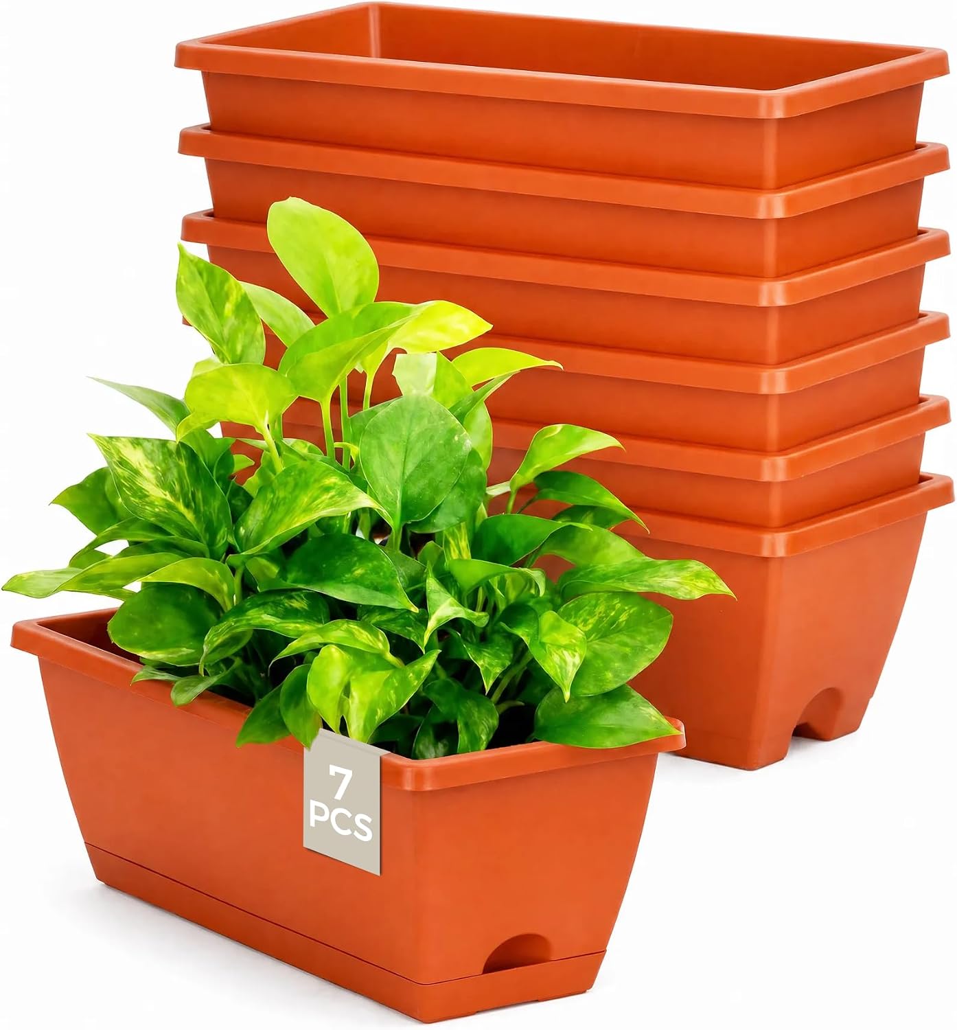 Detalle de Bamworld Set di 7 Fioriere da Finestra Rettangolari 42 cm - Drenaggio Integrato, Sottovaso incluso, Rosso
