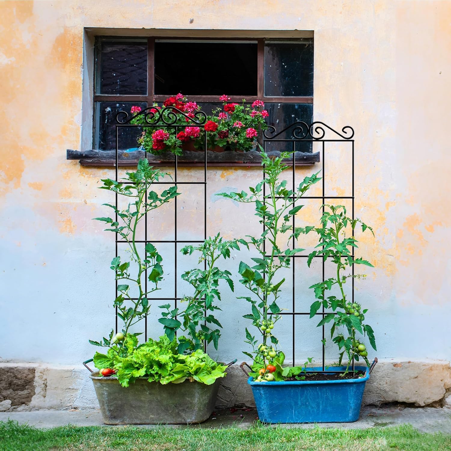 Thumbnail 2 de ARIFARO 147cm / 58" Metal Garden Trellis (Pack of 4) for Climbing Plants