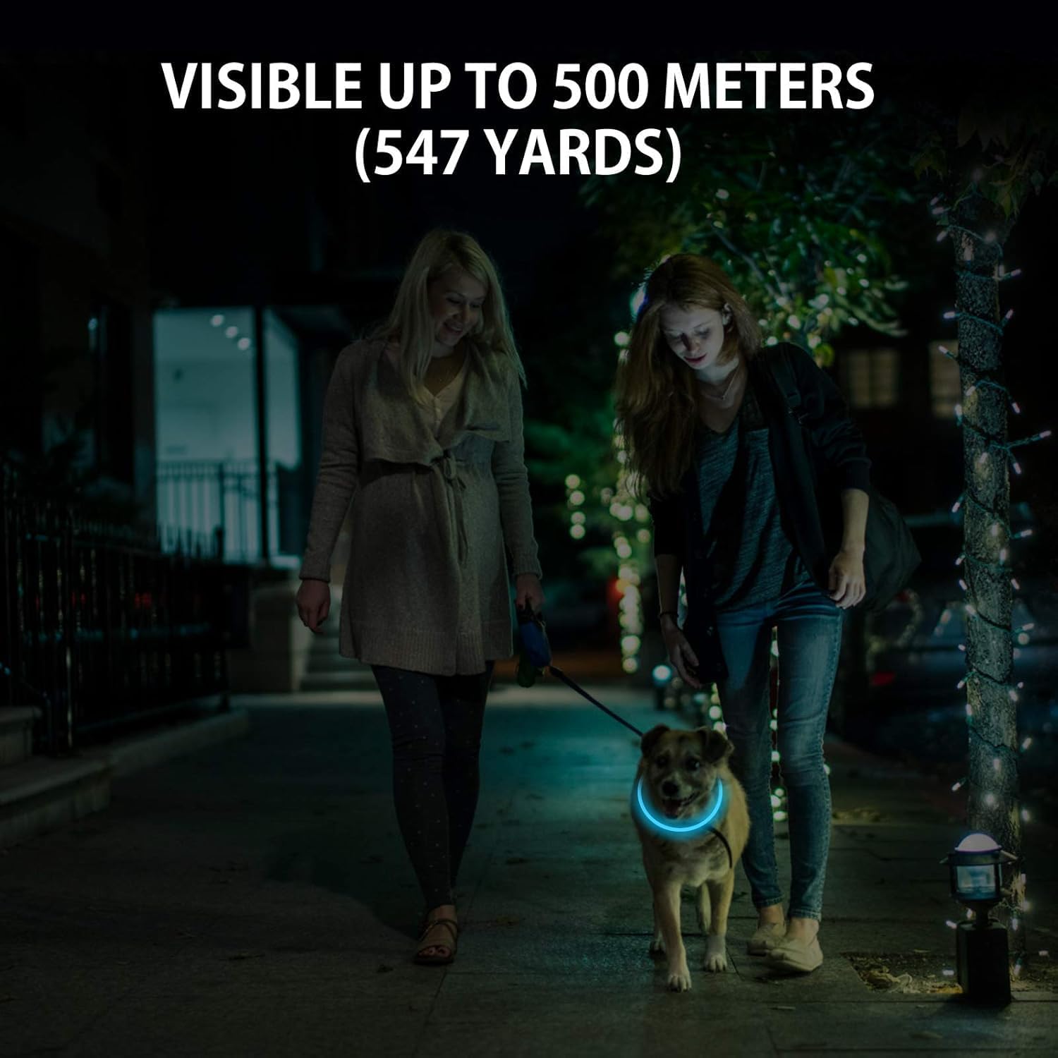 Thumbnail 2 de Novkin LED Dog Collar 2-Pack for Night Walks