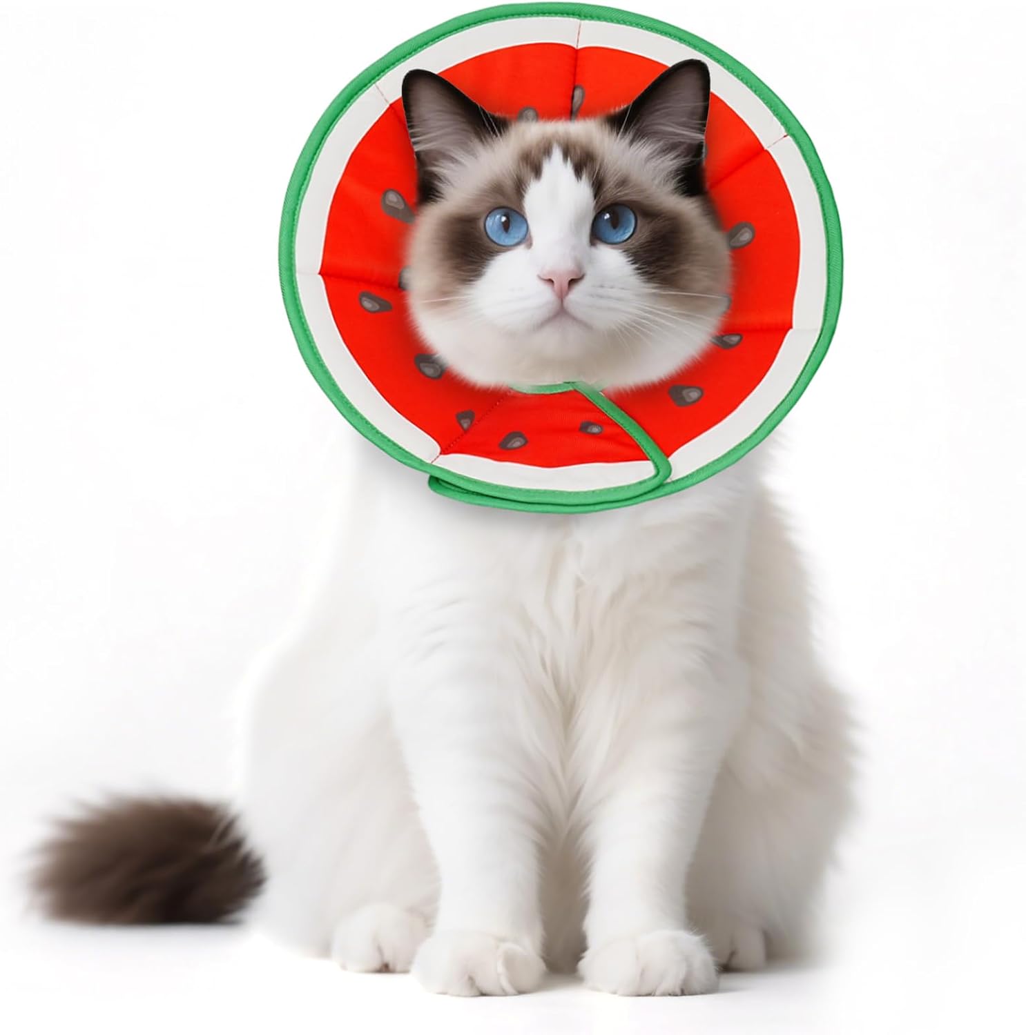 Thumbnail 4 de Supet weiche Fruit-Style Halskrause für Katzen & kleine Hunde – verstellbare Recovery-Cone nach OP