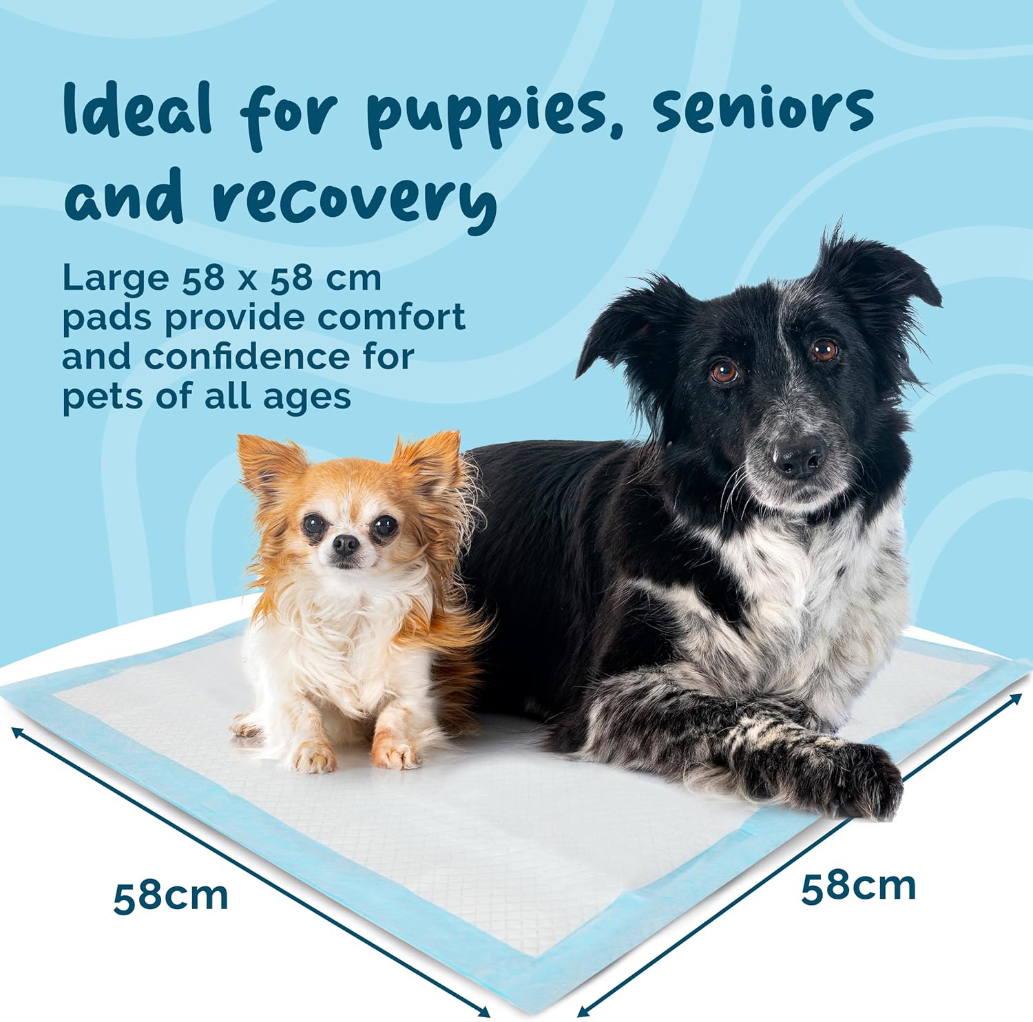 Thumbnail 6 de Petsentials Leakproof, Quick Dry disposable training pads (105-pack) for dogs & puppies