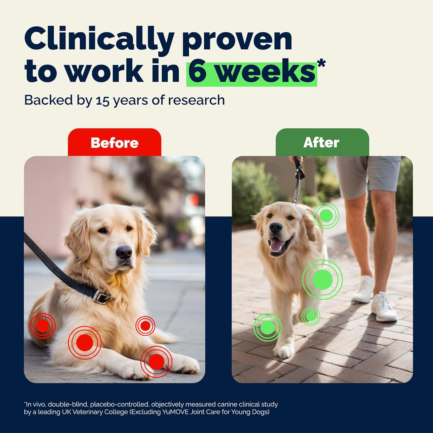 Detalle de YuMOVE Gelenktabletten für Hunde 5–8 Jahre (60 Tabletten, 150 mg) mit Grünlippmuschel
