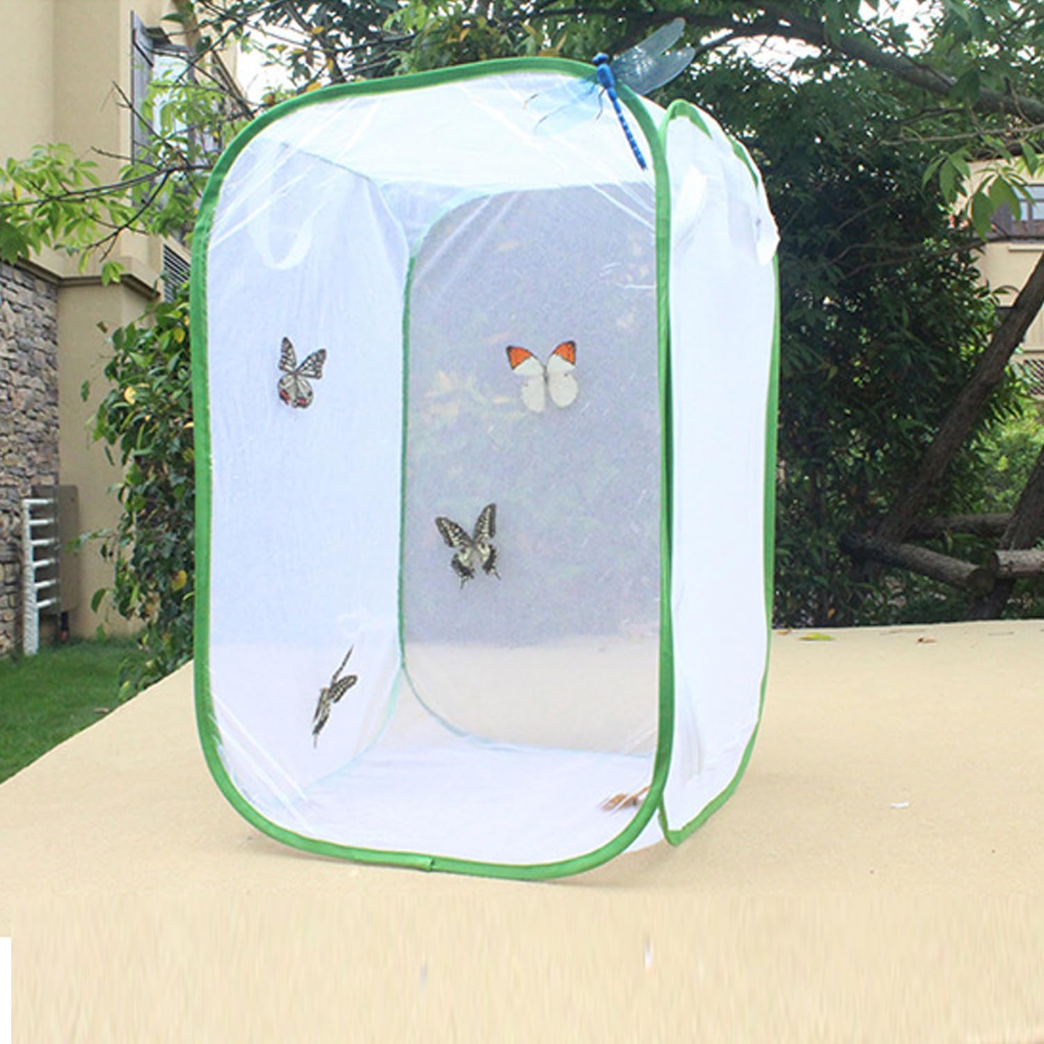 Thumbnail 2 de Butterfly and Insect Habitat Cage by Ompinda: Collapsible, Transparent Pop-up Enclosure for Caterpillars and Flying Insects