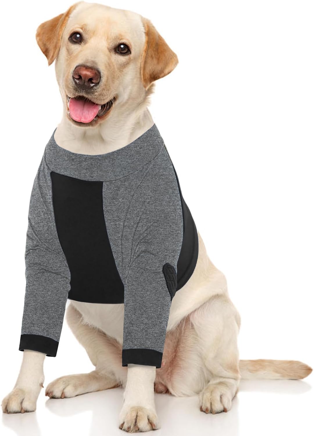 LeLePet Dog Surgical Bodysuit: Front Leg Recovery Wear for Wound Protection