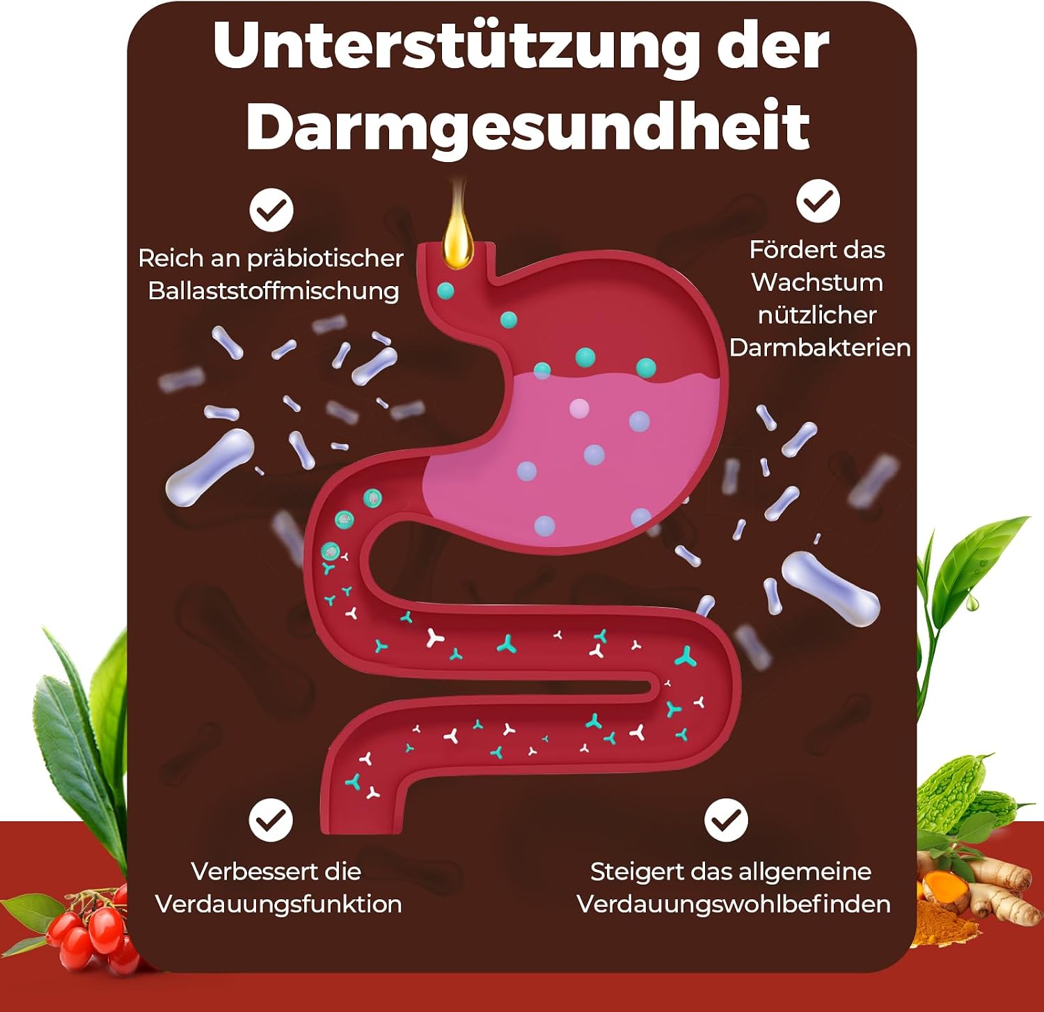 Detalle de Liposomale Berberin Tropfen mit 3000 mg – 120 ml für Stoffwechsel, Blutzucker und Verdauung