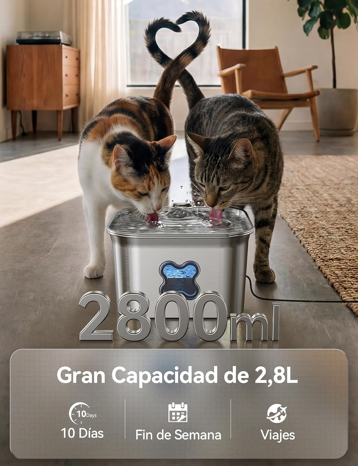 Detalle de FEELNEEDY Fuente para Gatos de Acero Inoxidable SUS 304 2,8L con Filtración de 4 Capas