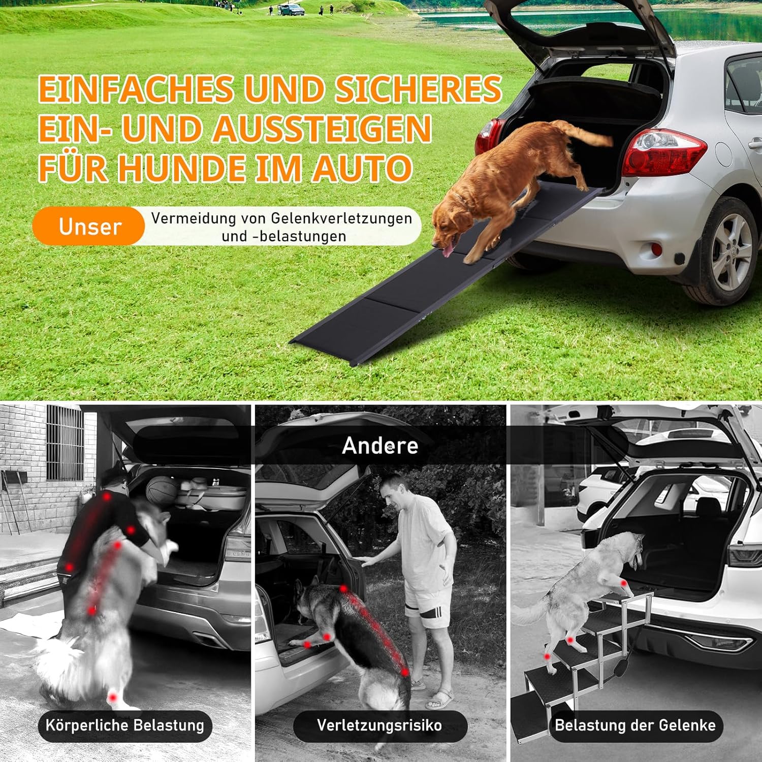Detalle 2 de FASNATI Hunderampe klappbar 160 cm