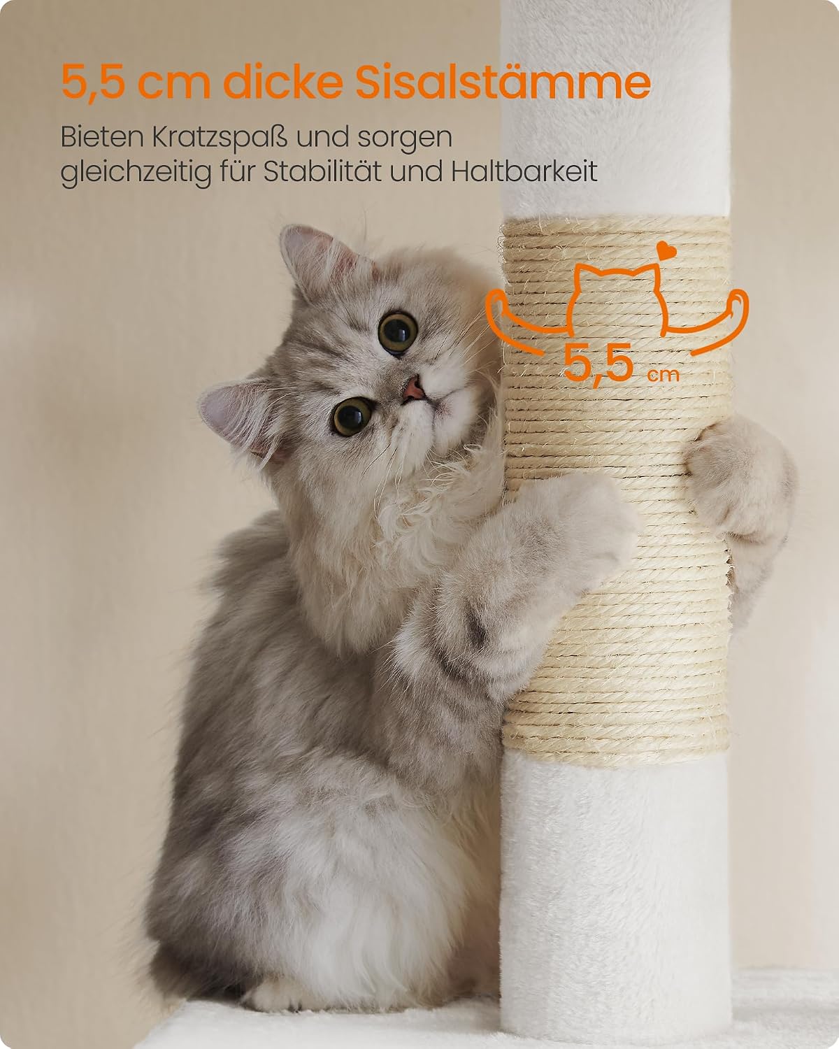 Thumbnail 5 de Feandrea PCT061T01 Kratzbaum 84 cm für große Katzen 🐱