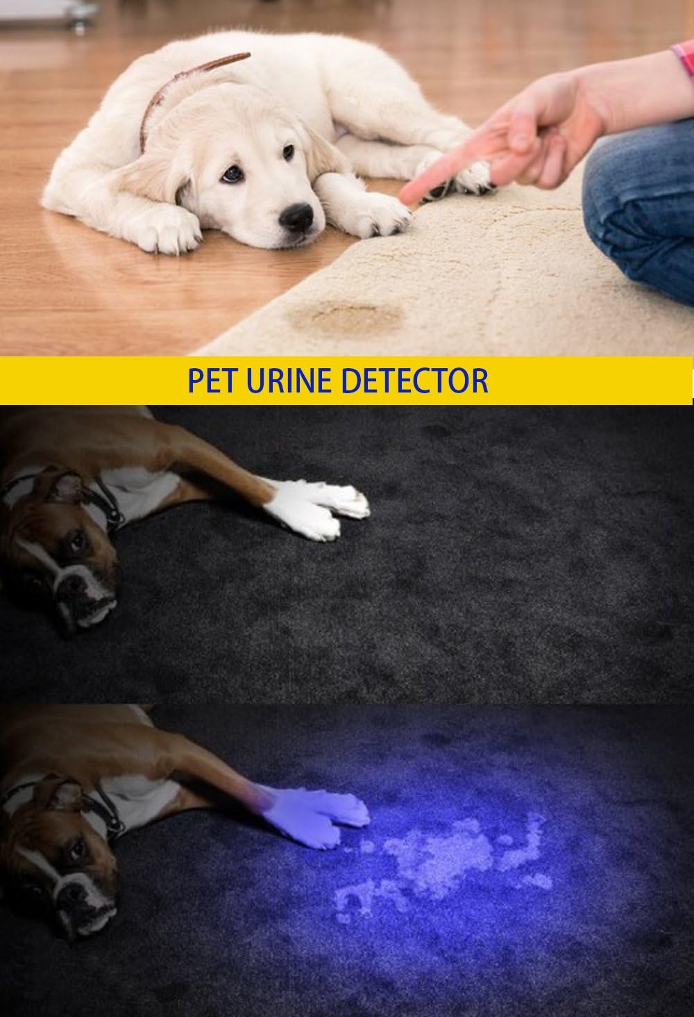 Detalle de DARKBEAM UV Torch 365nm & 395nm Light: Dual-Wavelength Mini Handheld UV Flashlight