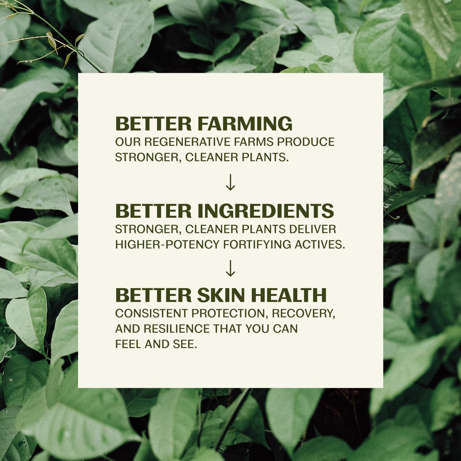 Thumbnail 3 de Thrive Natural Care Reef Safe Sunscreen SPF50 - Hawaii 104