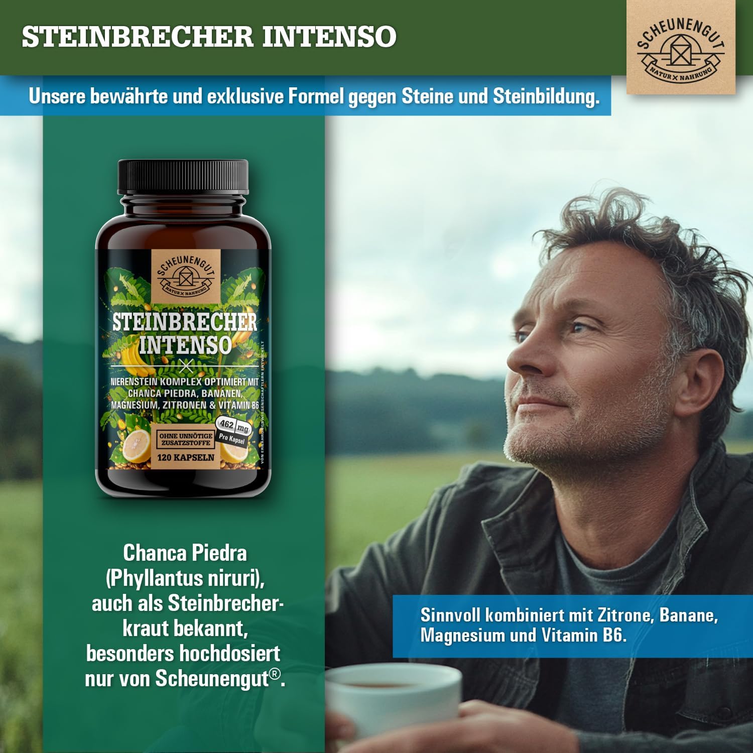 Thumbnail 3 de STEINBRECHER INTENSO® Chanca Piedra Kapseln (DE SCHEUNENGUT®) – 120 Kapseln