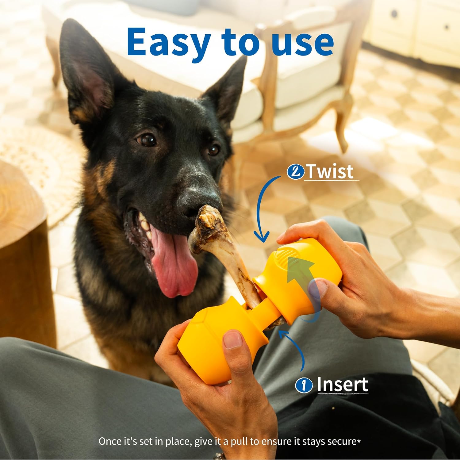 Thumbnail 6 de PetClan Chewise Bully Stick Halter – Sicherheit & Robustheit, BPA-frei