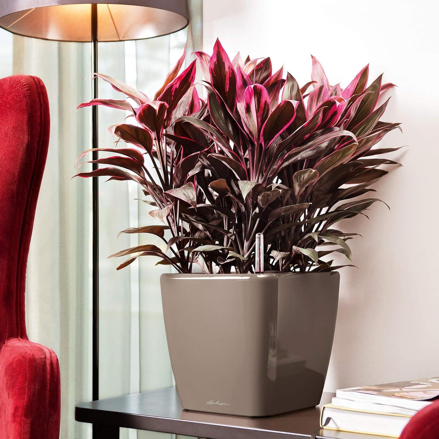 Detalle de Lechuza Pot de Fleurs d'Interieur Premium Qua… (Quadro Ls) – Rouge Scarlet, 28 × 28 × 26 cm