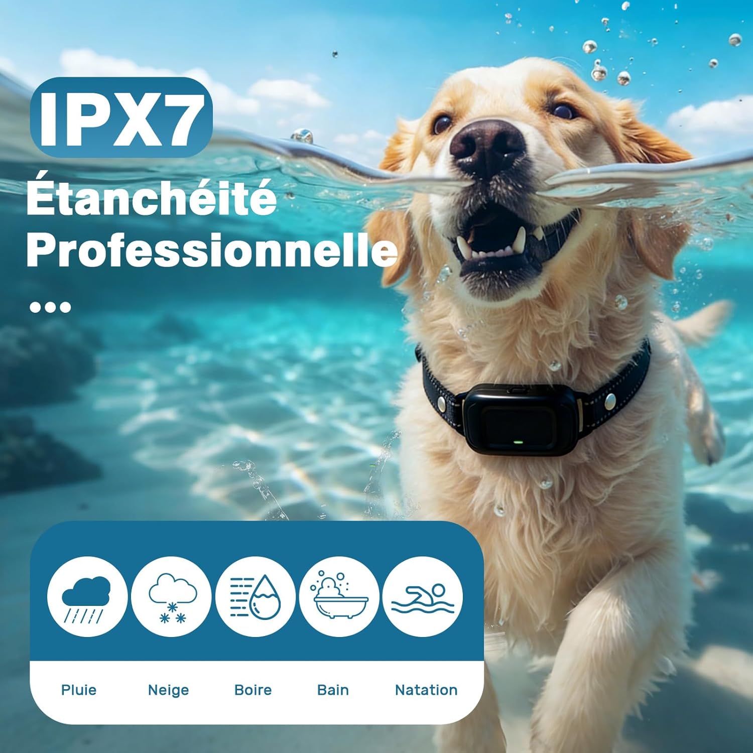 Detalle de Collier Anti Aboiement Chien – Dressage Intellig ent avec Ultrason et Détection