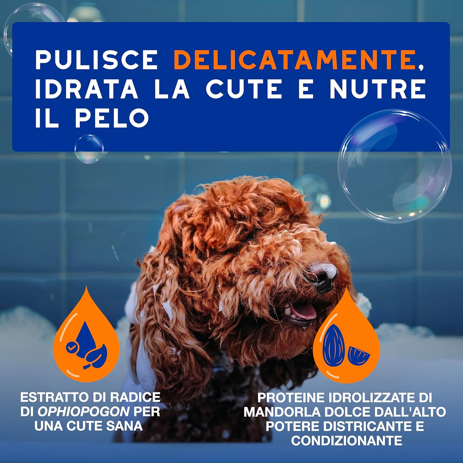 Detalle 2 de DOUXO Skin & Coat SPA shampoo 2 in 1