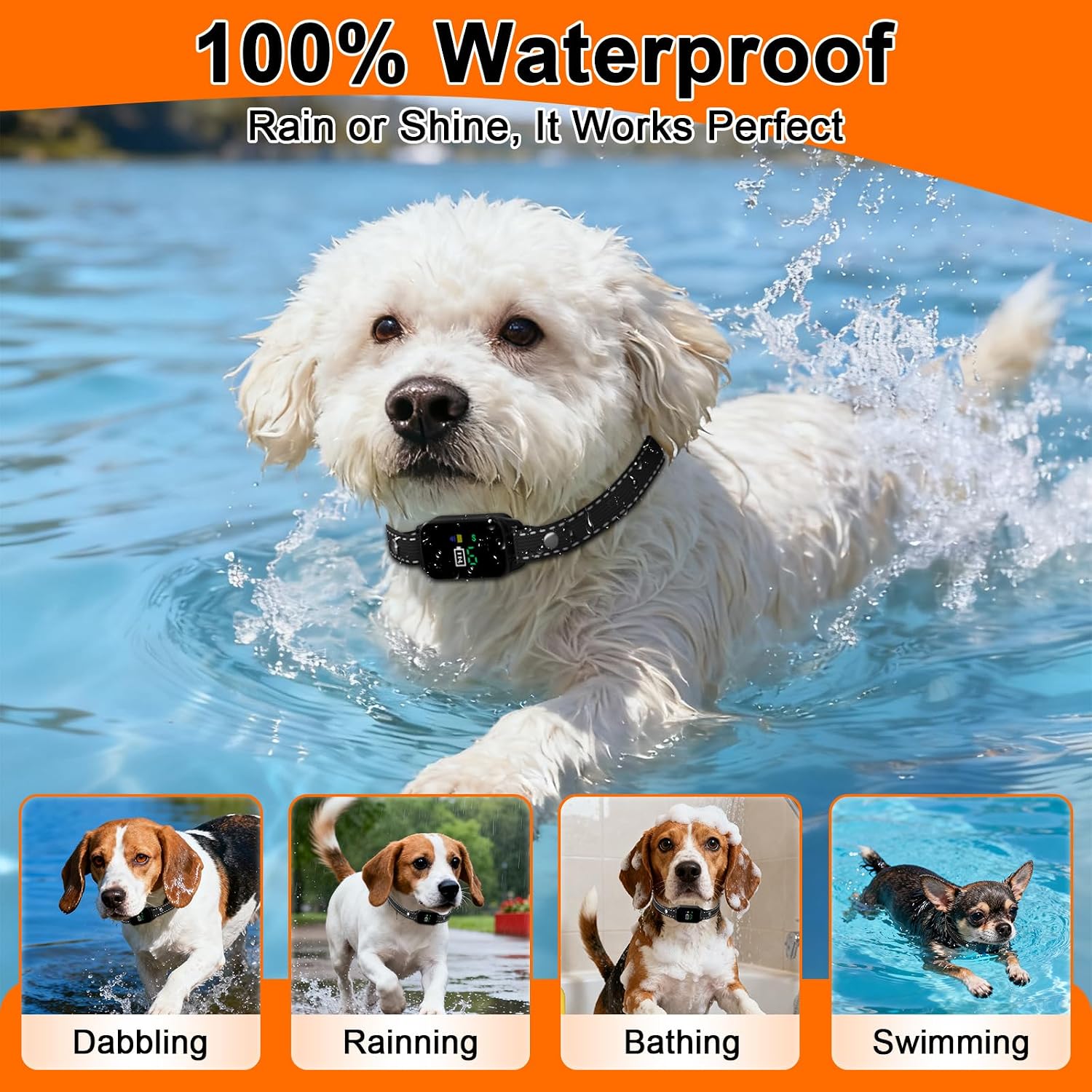 Detalle 2 de Bark Collar for Small to Medium Dogs (2–27 kg): Gentle, Waterproof Training Collar with 3 Modes and 7 Sensitivity Levels