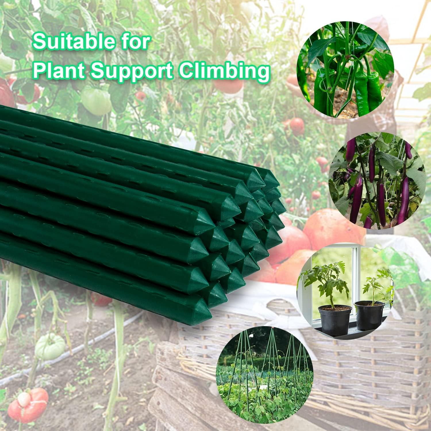 Detalle 2 de Jollybower SPS-50CA Steel Plant Stakes, 6 Feet, Plastic-Coated, 50 Pack