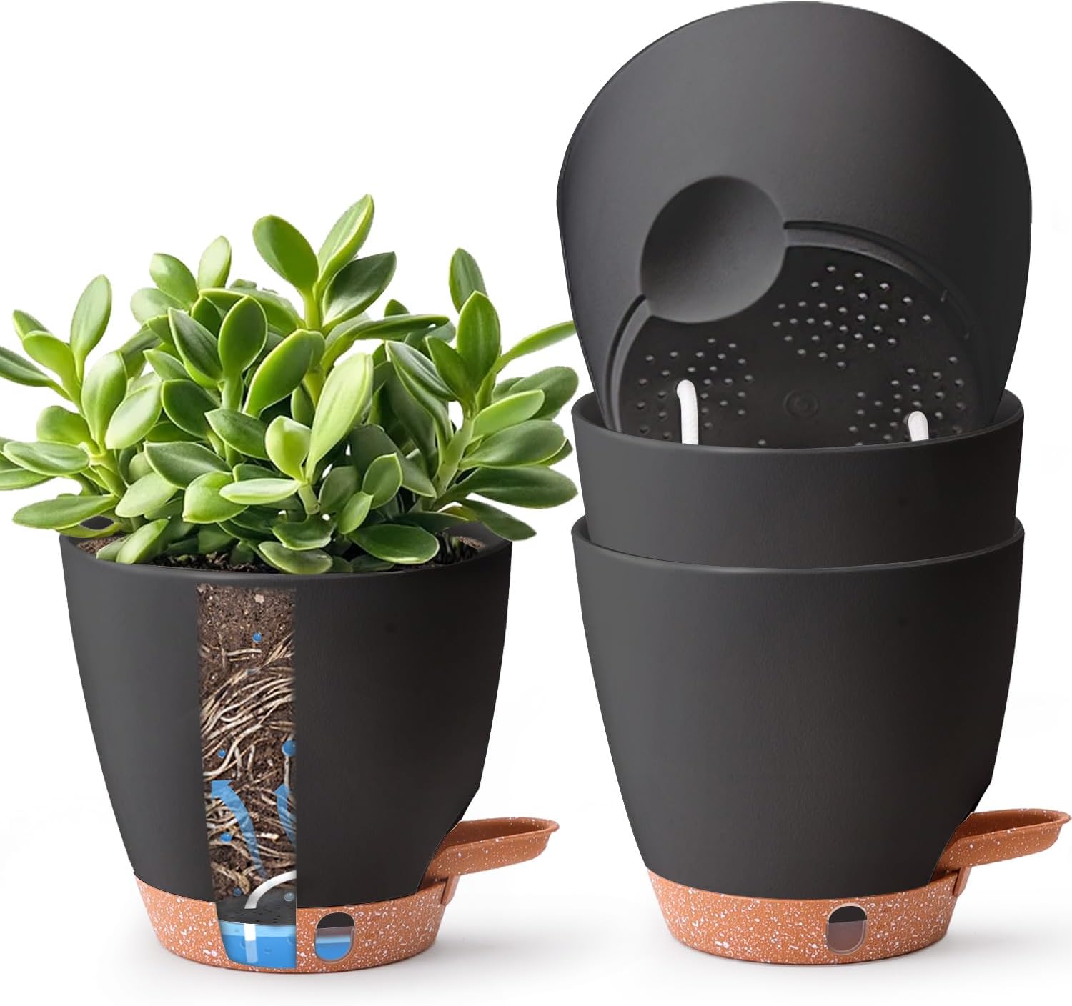 Detalle de T4u T4U 15cm Self Watering Plant Pot 15cm