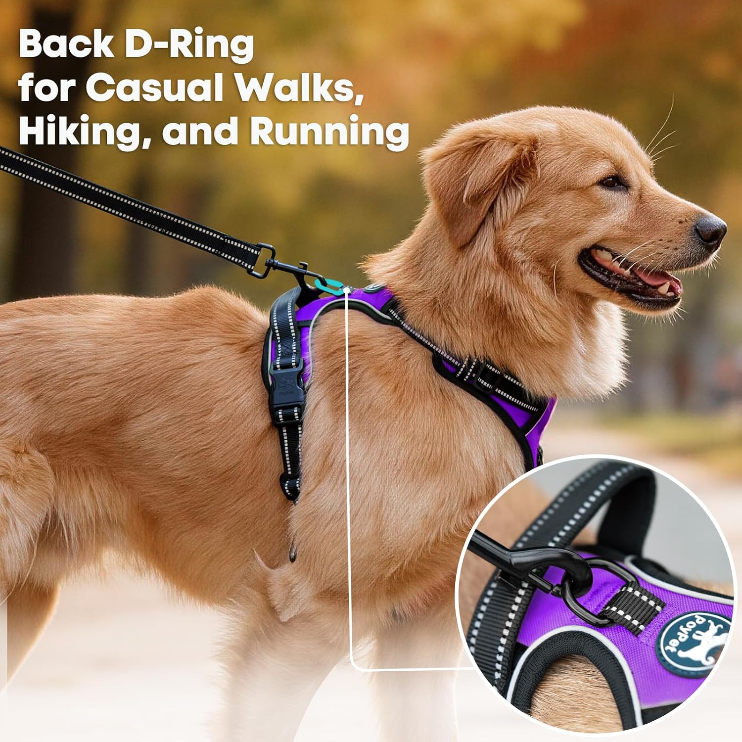 Thumbnail 3 de PoyPet Dog Harness, Large