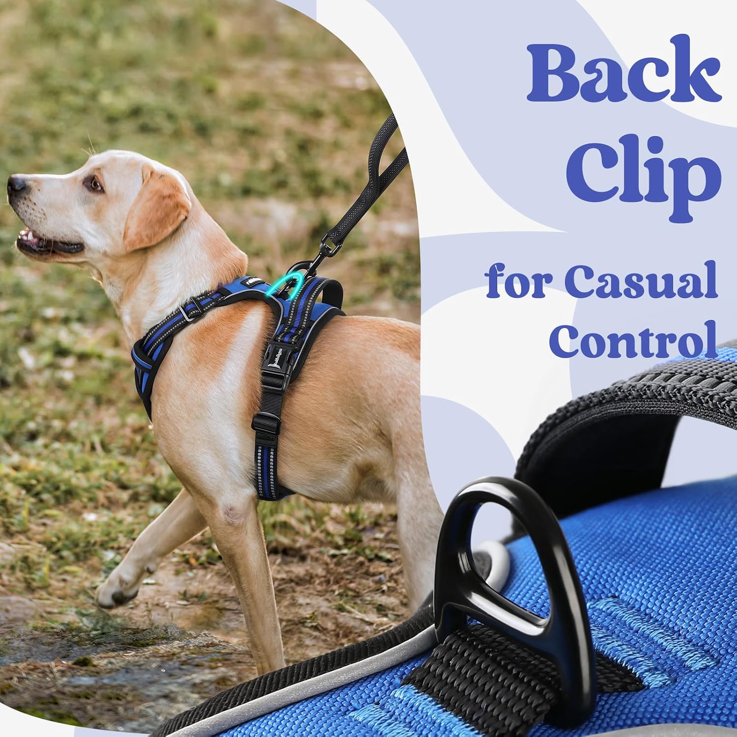 Detalle 1 de rabbitgoo No-Pull Dog Harness L, 3 Buckles