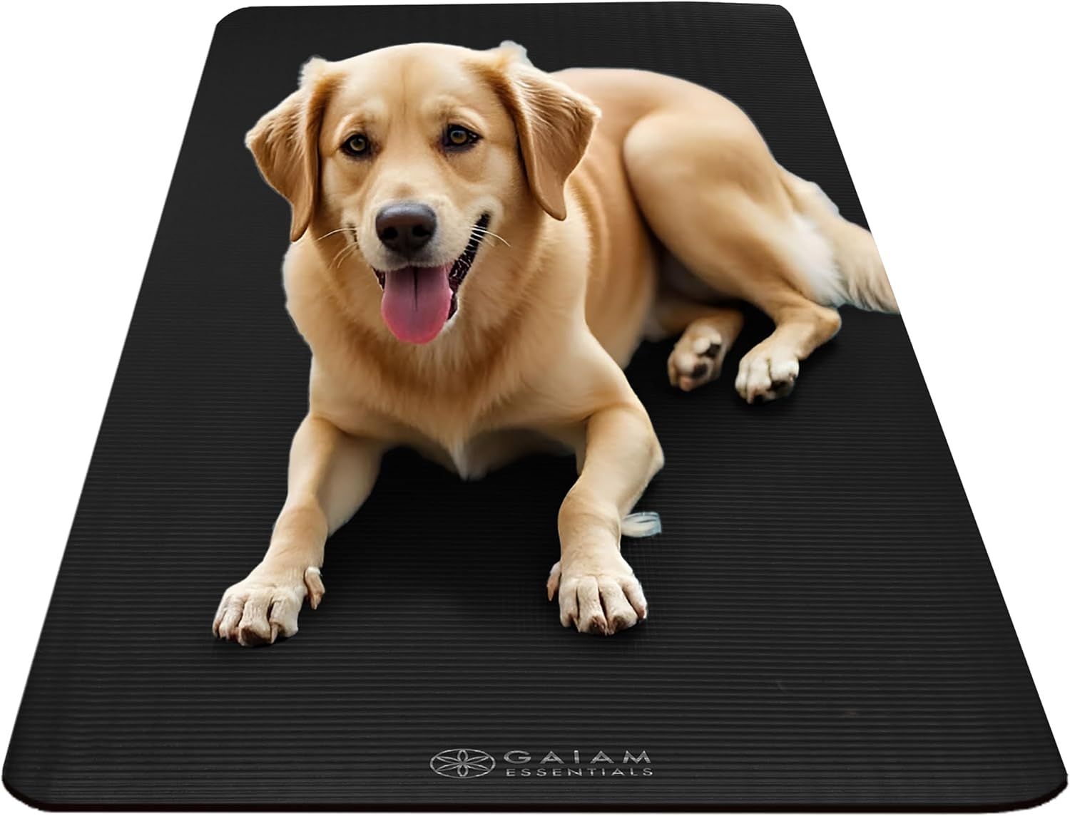 Thumbnail 6 de Gaiam Essentials 10mm Yoga Mat with Carry Strap 🧘♀