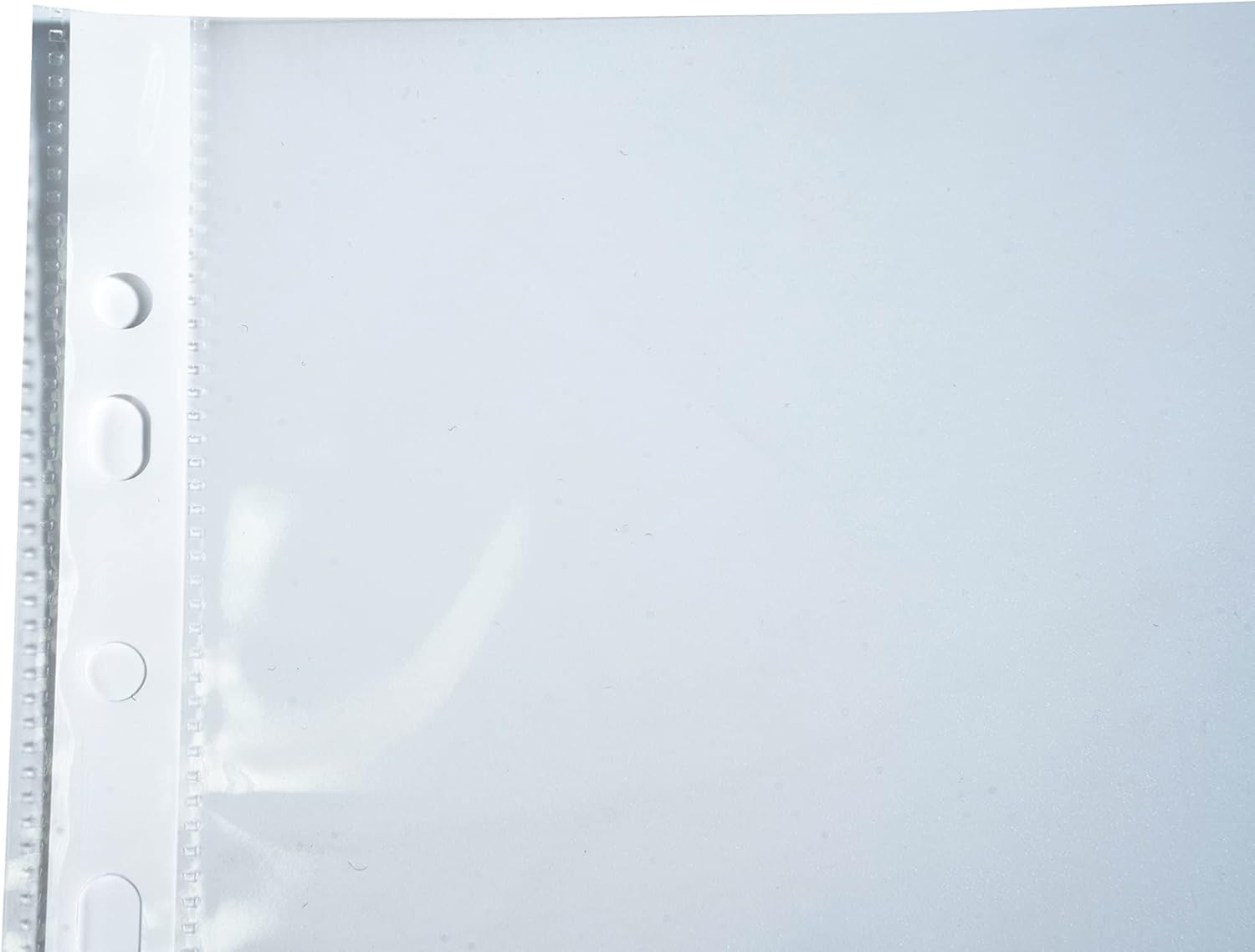 Detalle de Exacompta 5990E Buste perforate 32x24 cm – confezione da 10 tasche perforate