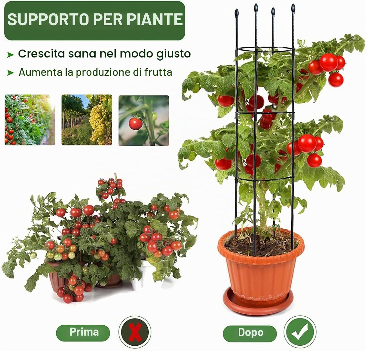 Detalle de LIBRNTY Garden Supporto Piante Rampicanti: Gabbie e Sostegni Stabili per Piante da Giardino