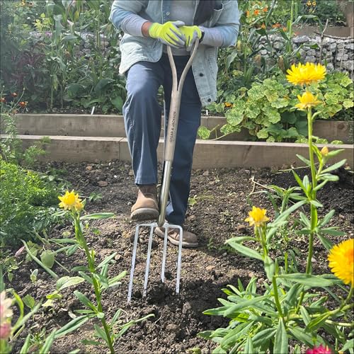Detalle de Spear & Jackson 4550DF Traditional Stainless Steel Digging Fork