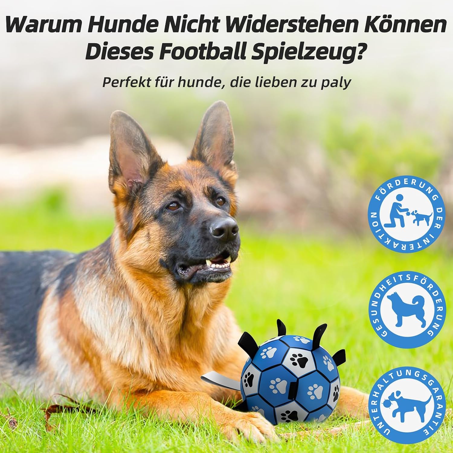 Thumbnail 4 de HETOO Hundeball 9 Zoll Blau Grau