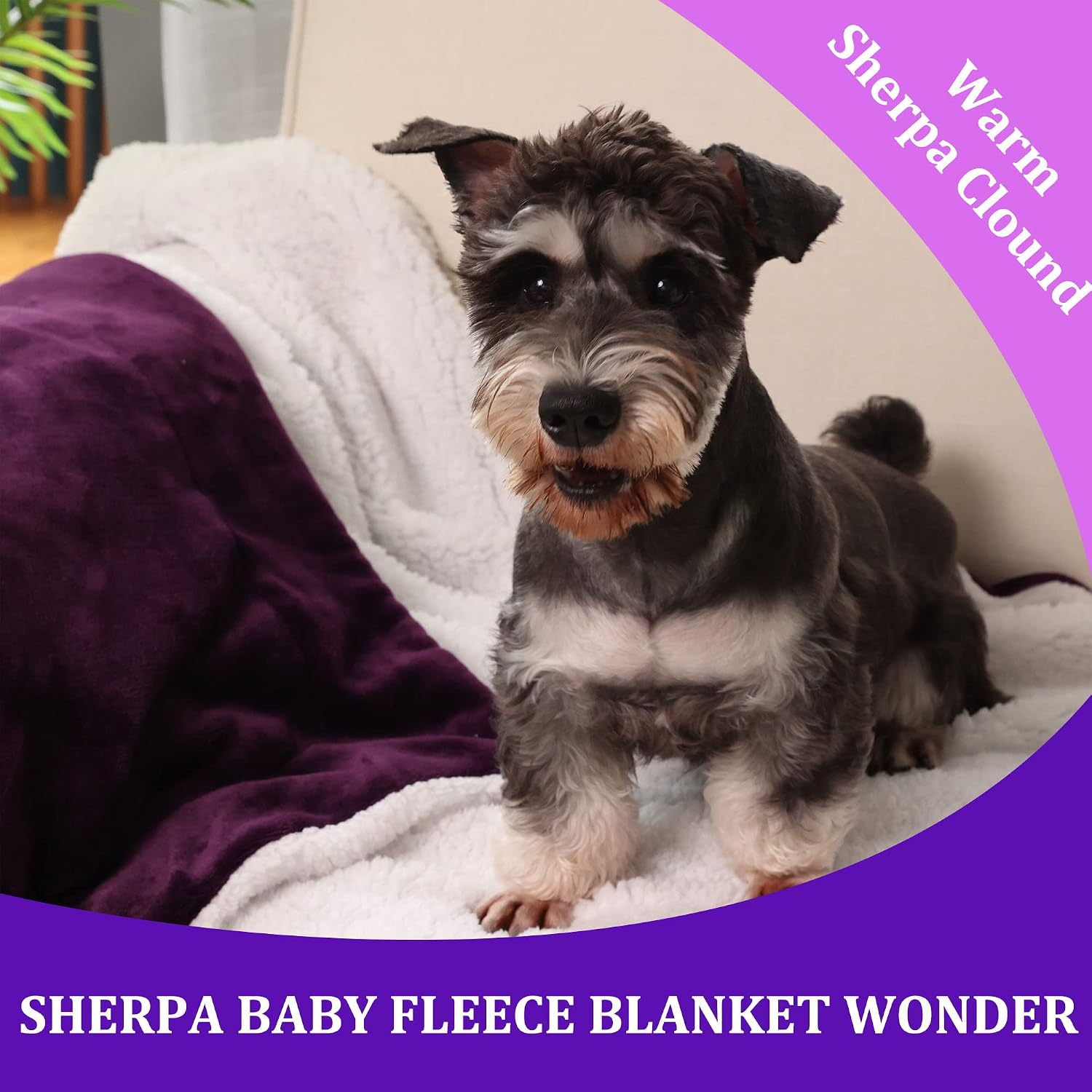 Detalle 2 de NANPIPER Baby Sherpa Blanket 30 x 40 Inches