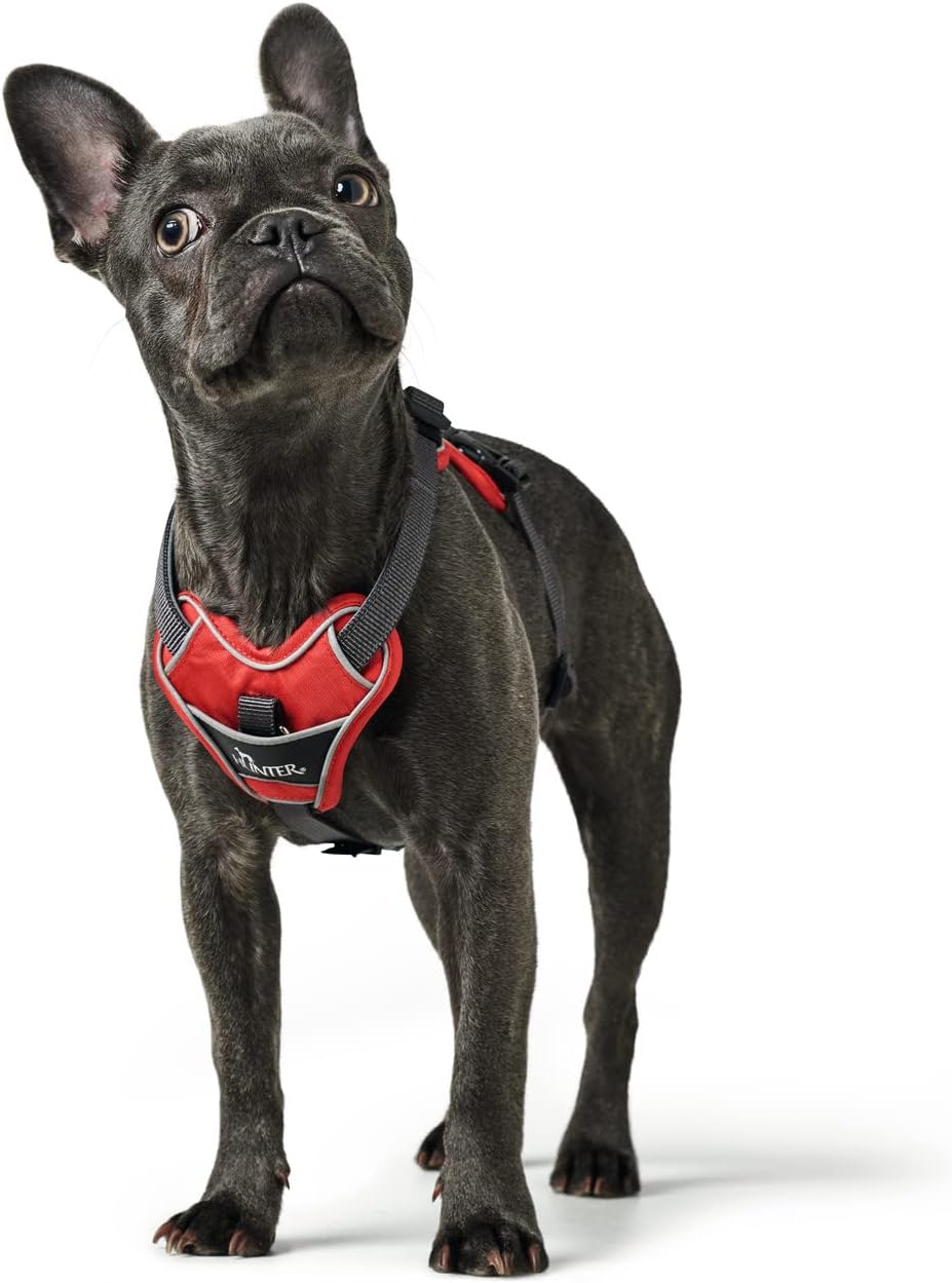 Detalle de Hunter DIVO Hundegeschirr XS 34–47 cm rot/grau – Ergonomisch, reflektierend und vielseitig einsetzbar