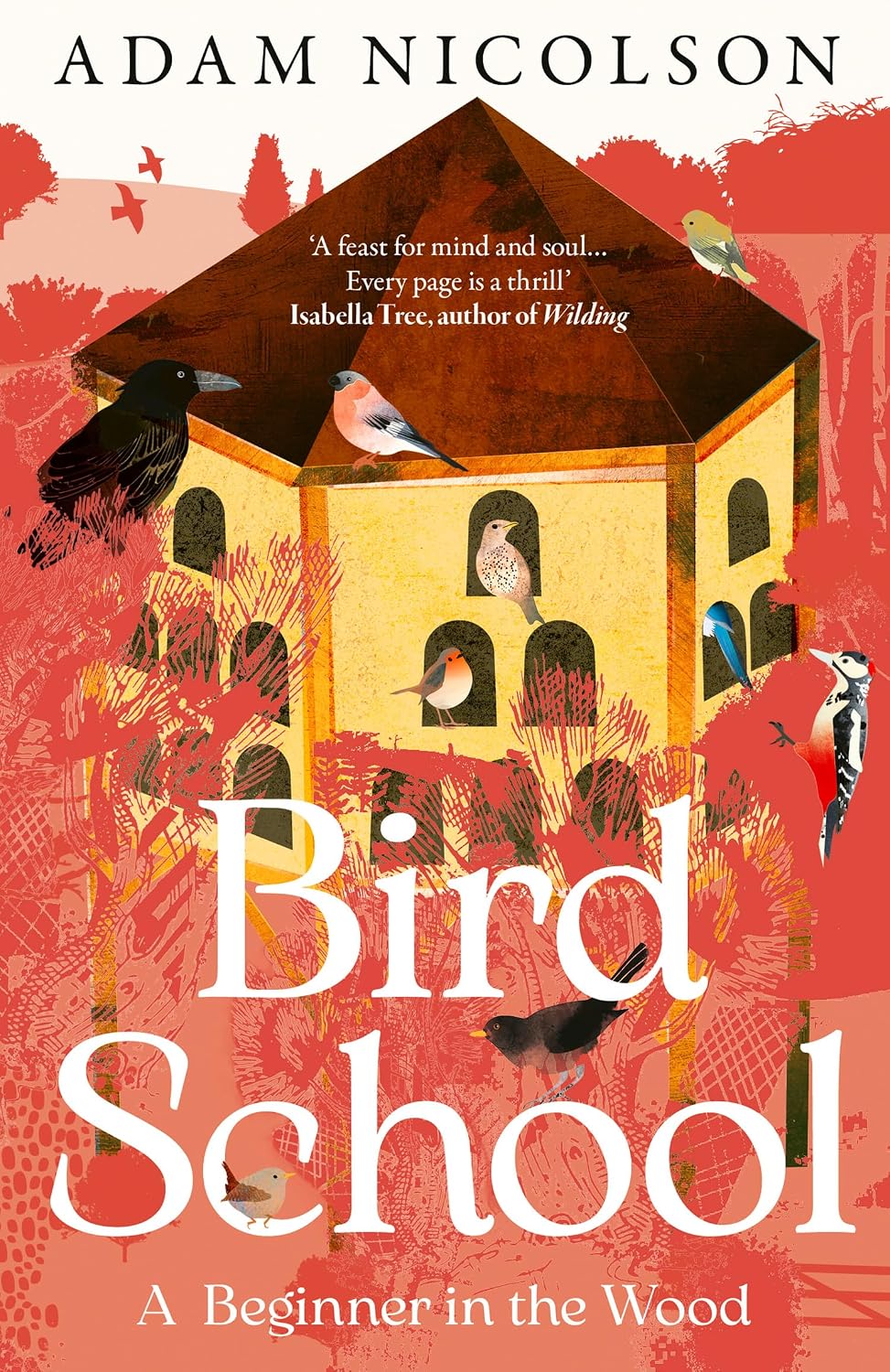 Detalle de Bird School: A Beginner in the Wood – książka o ptakach i przyrodzie