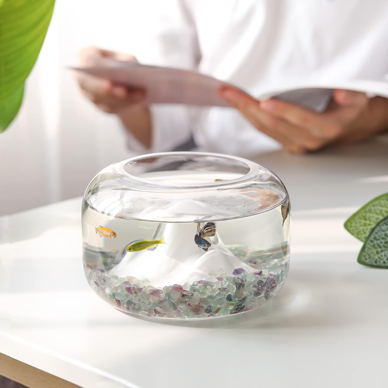 Thumbnail 1 de T4U Decorative Stones 450g gravel for succulents 🪨