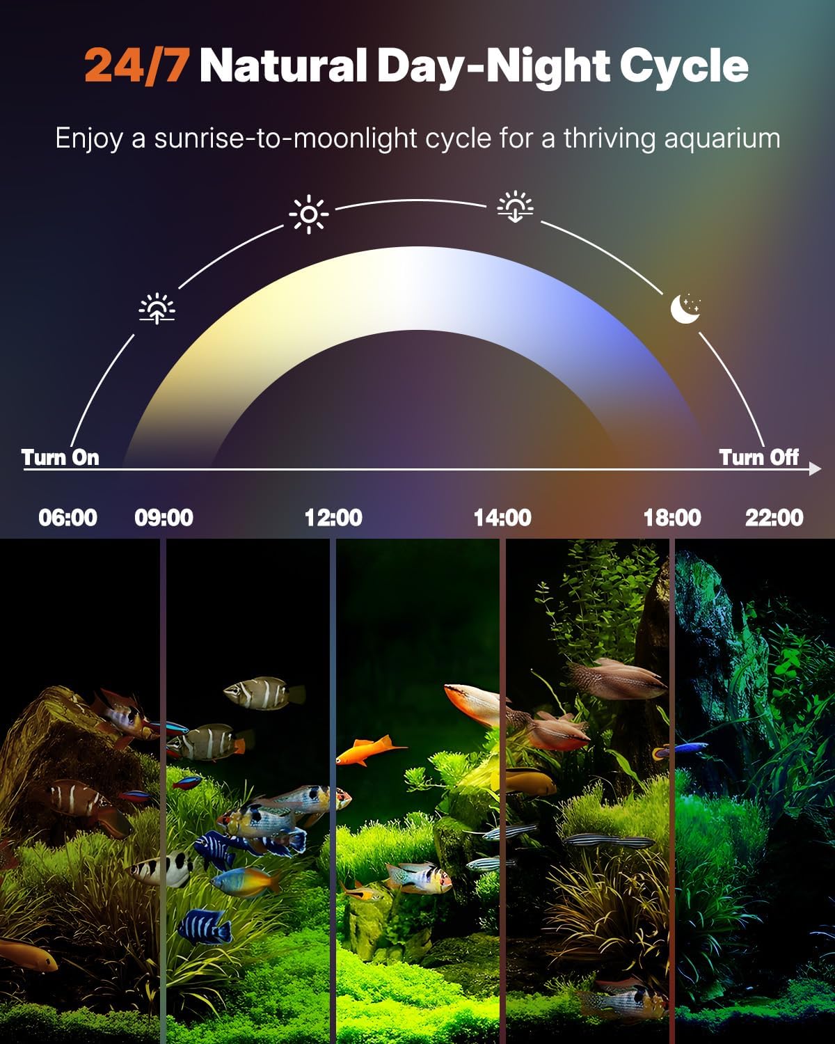 Detalle de Pawfly 50 cm Aquarium LED Light: Full Spectrum, 24/7 Illumination with D/N & DIY Modes