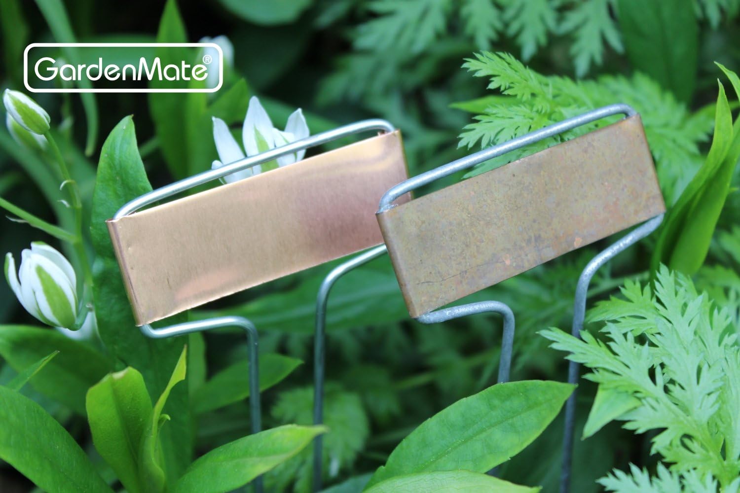 Detalle 2 de GardenMate Set di 25 Banner Etichette per Piante in Acciaio zincato e rame