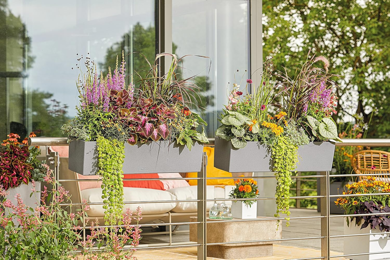 Thumbnail 6 de Lechuza Balconera Stone 80 Grigio Pietra