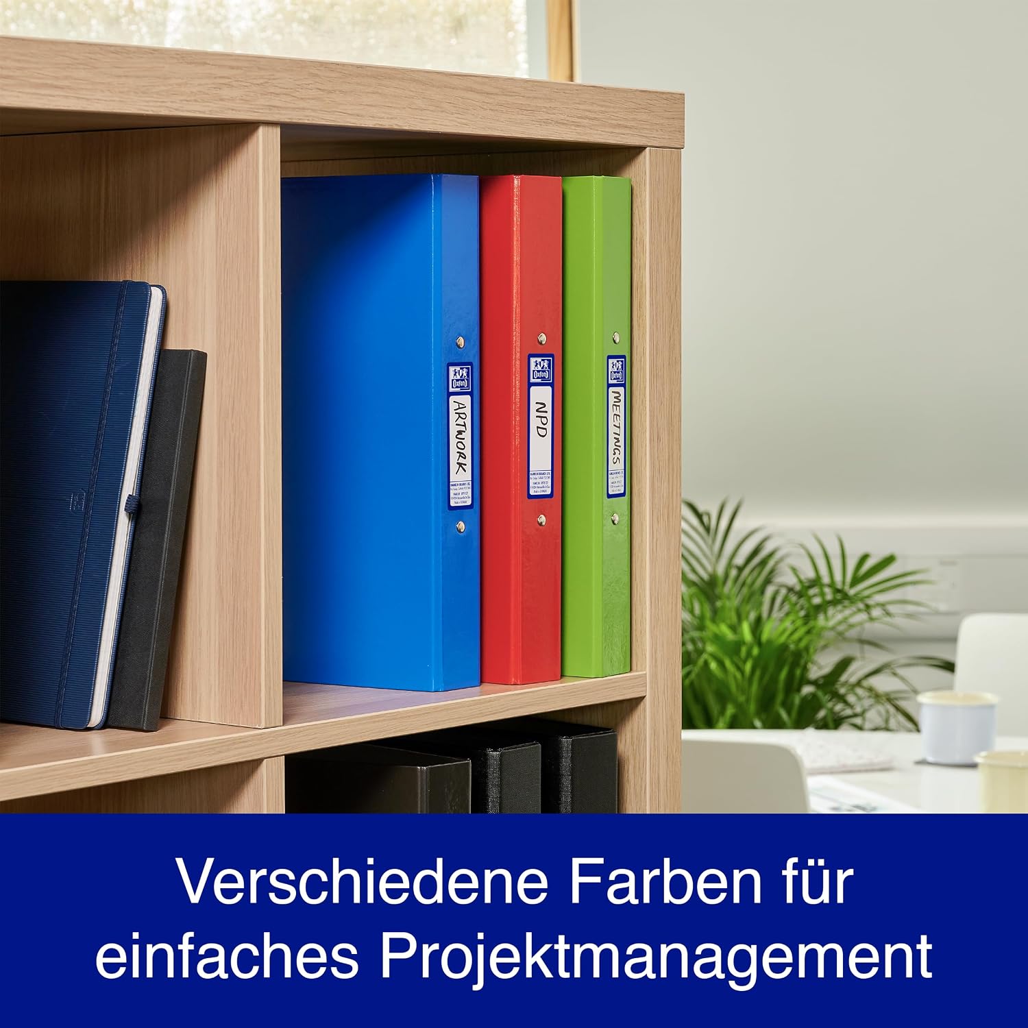 Detalle de Oxford Ringbuch A4, 4 cm Rücken, 2‑Ring, Mixfarben (Rot/Grün/Blau) – 3 Stück