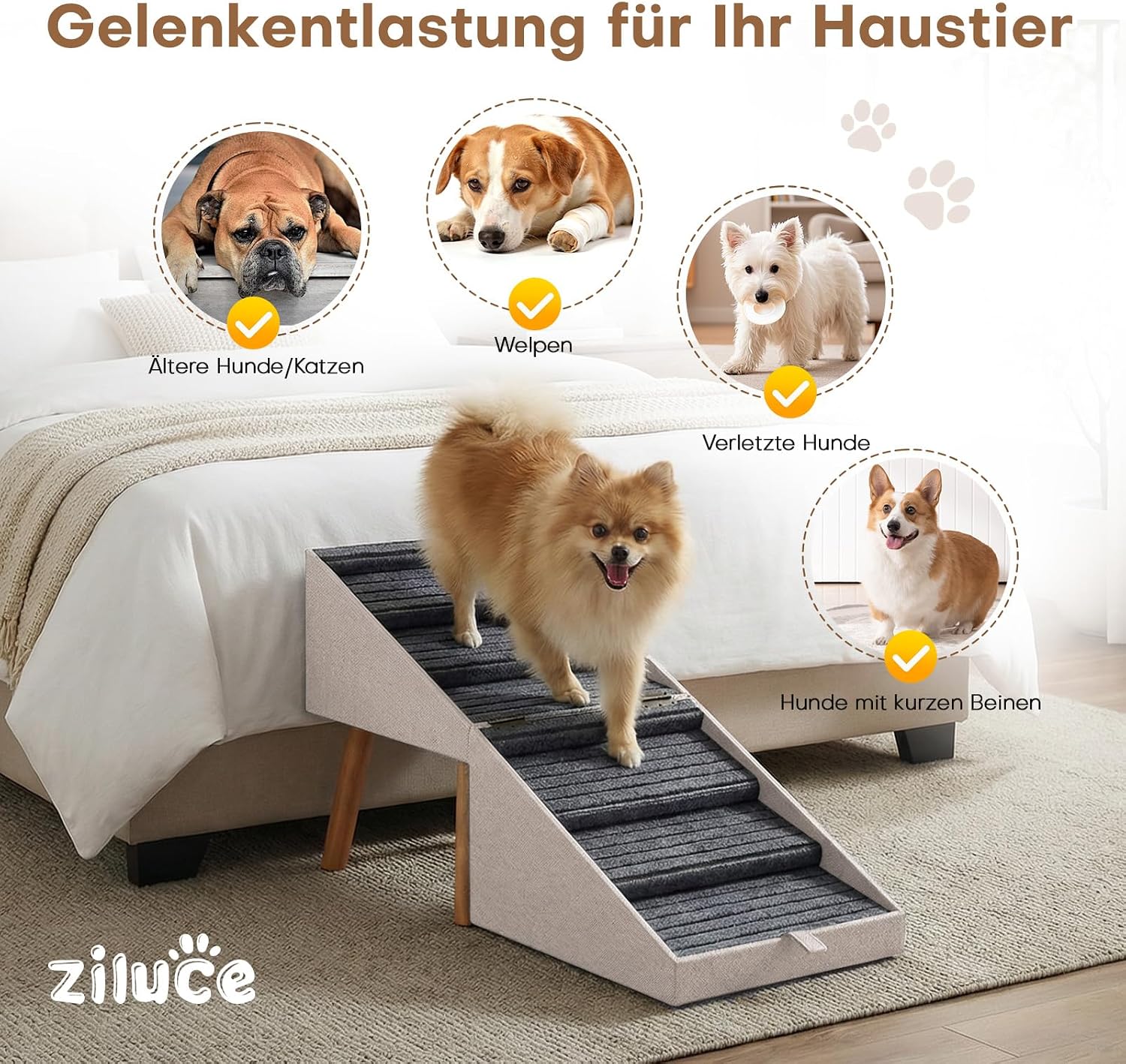 Detalle 2 de Hunderampe für Bett und Couch – 2-in-1 Holztreppe und Ottomane für kleine bis große Hunde (Aprikose, 53,5 cm hoch)