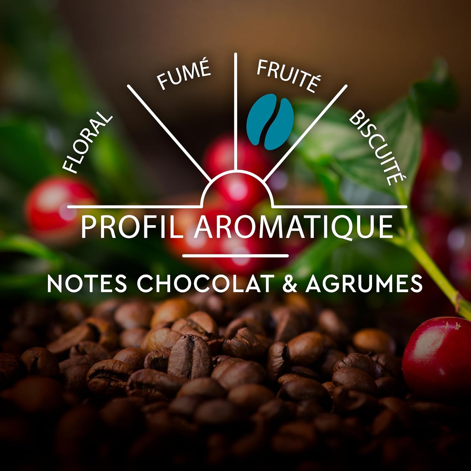 Detalle de CARTE NOIRE Espresso Classique N°7 – Capsules compatibles Nespresso Original, Arabica, Lot 10 x 10