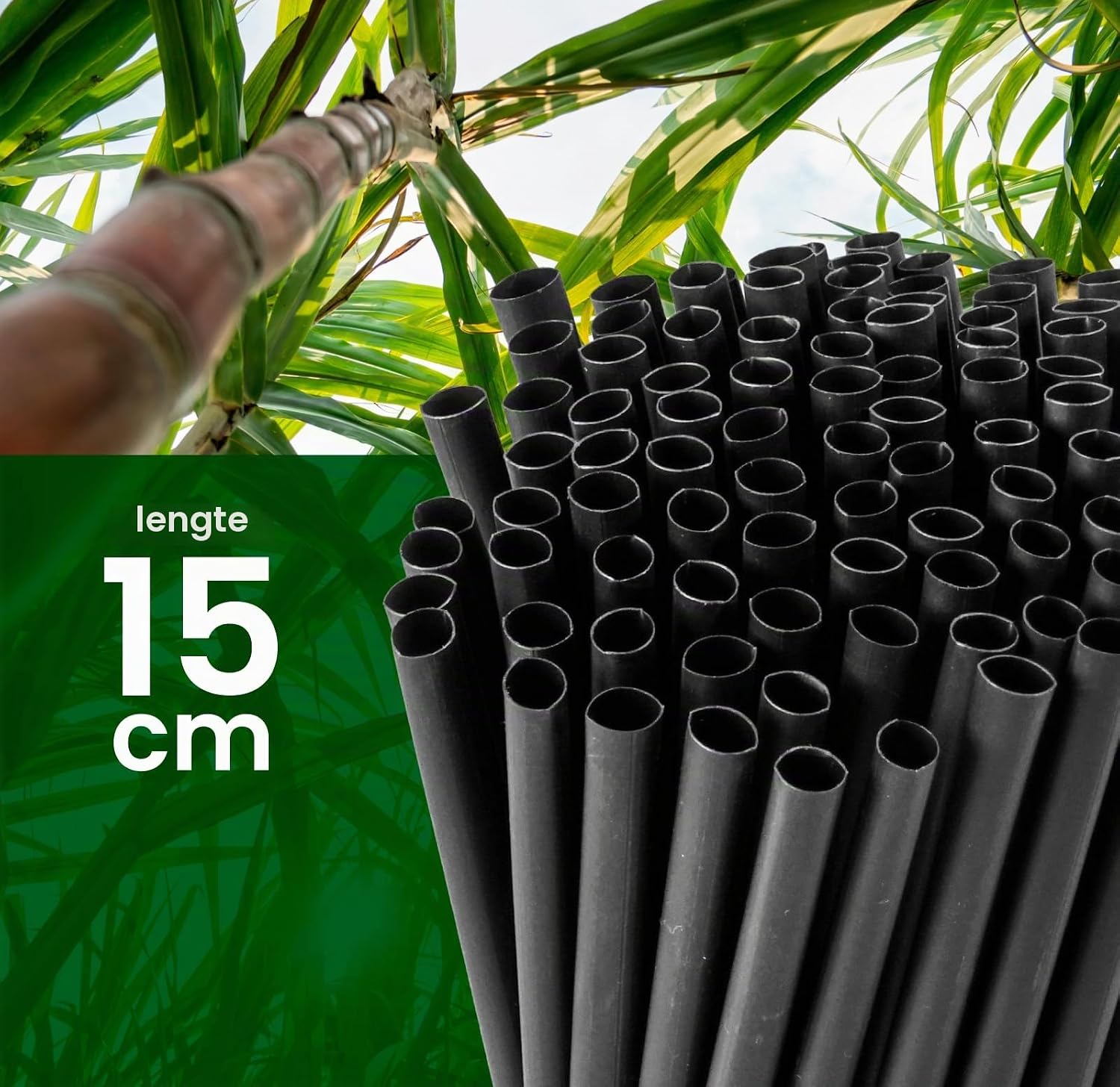 Detalle 2 de Baciato Caffè zwarte jumbo-rietjes, 15 cm x 8 mm, herbruikbaar en composteerbaar