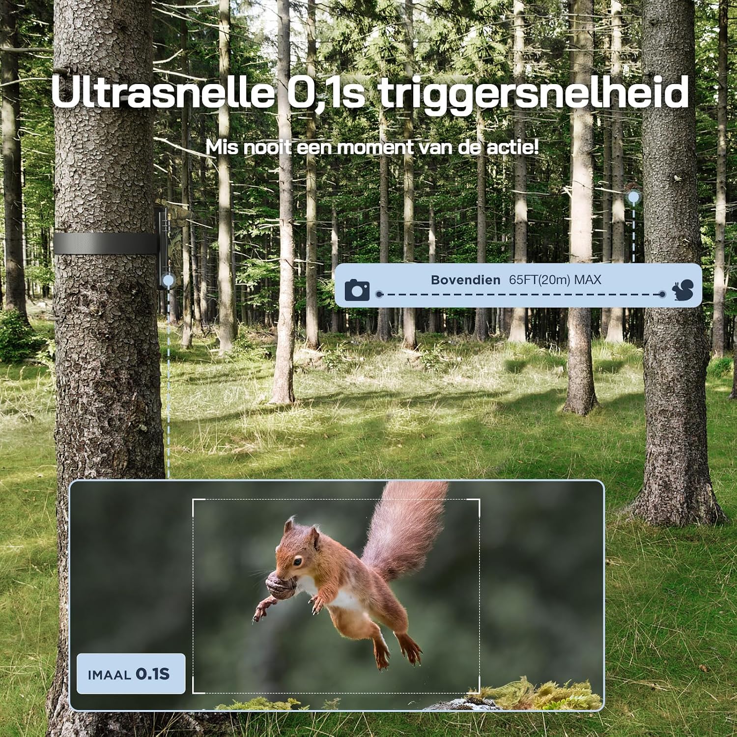Detalle 1 de WOLFANG WT03 wildcamera met zonnepaneel, 4K-video en 68MP-foto’s