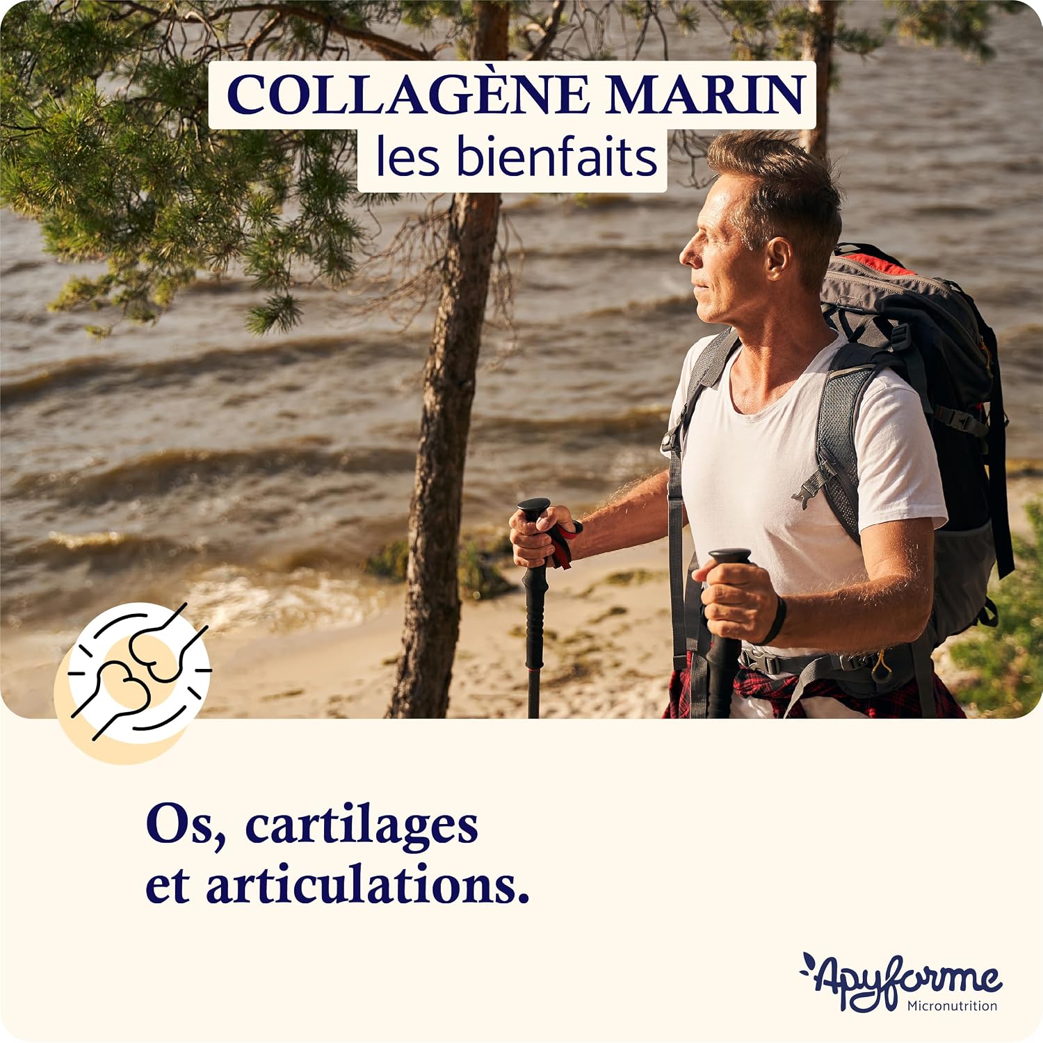 Detalle 2 de Apyforme Collagène marin 90 gélules 💊