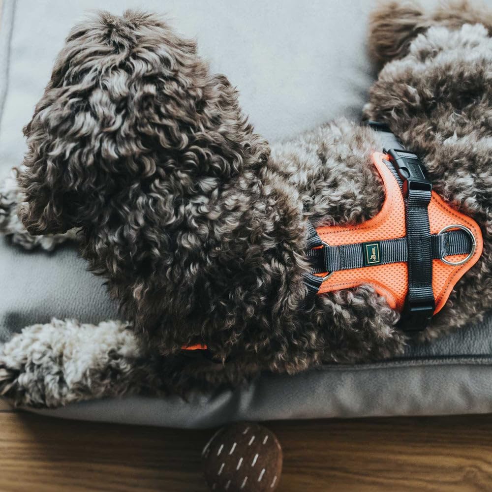 Thumbnail 6 de Hunter Maldon UP Hundegeschirr XS–S in Blau/Grau – reflektierend, gepolstert, 4-fach verstellbar