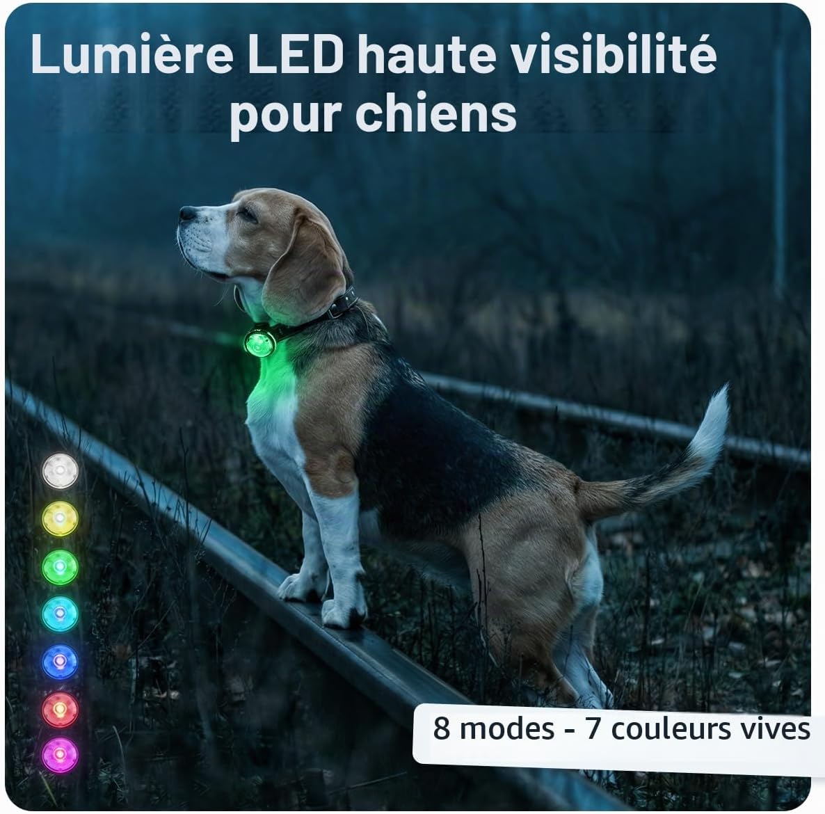 Thumbnail 1 de PAJ GPS PAJ LIGHT Mini - 2 mini-ledlampjes voor halsband of tuigje, 7 kleuren
