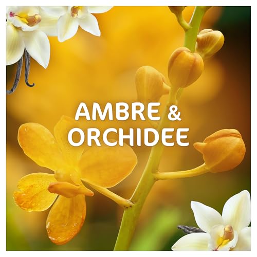Thumbnail 6 de Dash 2en1 PODS Lessive Ambre & Orchidée x38 — Capsules lavantes riches en douceur