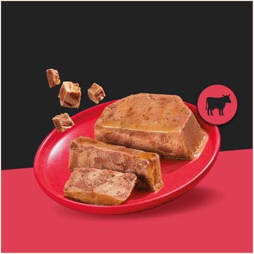 Detalle de CESAR ClassicTerrine Wet Dog Food – Mixed Selection in Jelly (8x150g) – Pack of 3