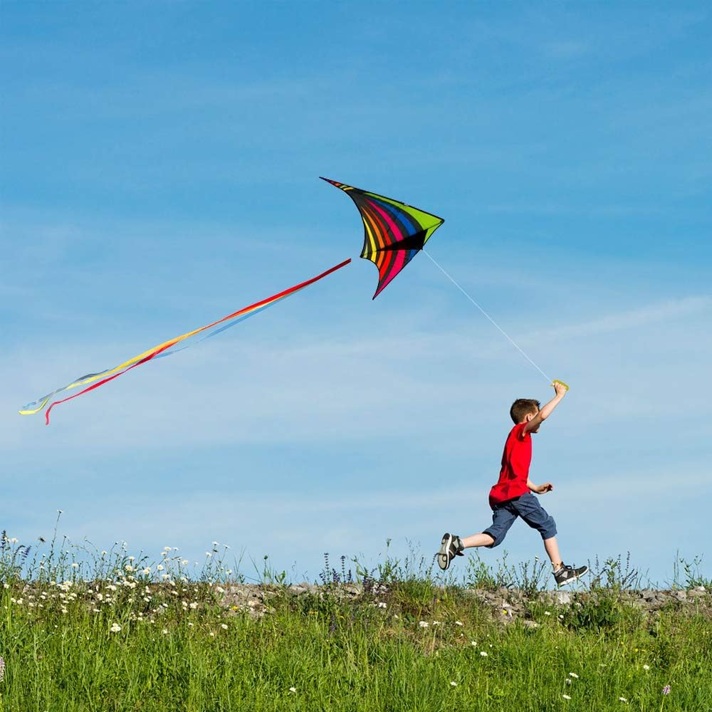 Detalle 2 de Mint's Colorful Life Delta Kite — Easy-to-Fly Beach Kite for Kids & Adults