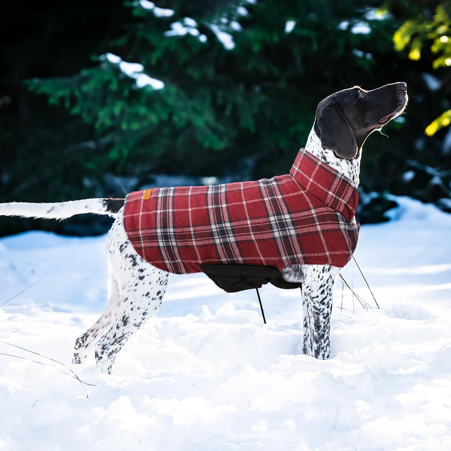 Thumbnail 6 de Kuoser Kuoser-92972-Red-L Waterproof Reversible Dog Coat with Fleece Lining